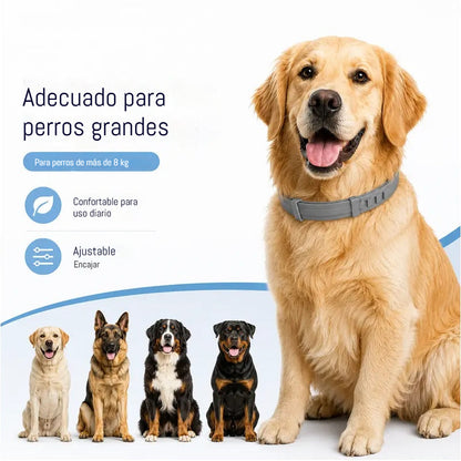 🔥【Compre 1 y obtenga 1 gratis】🐶🐱Collares preventivos contra pulgas y piojos para gatos y perros！