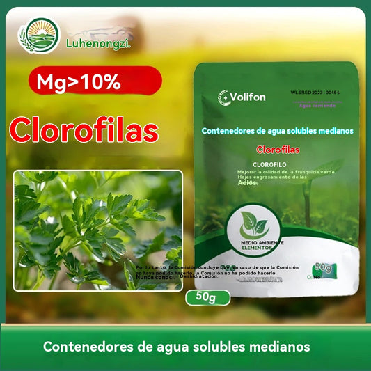 🌿Venta caliente🌿Fertilizante foliar hidrosoluble con clorofila para flores, frutales y hortalizas. Favorece el crecimiento radicular y de las plántulas, y aumenta la producción. Fertilizante agrícola hidrosoluble.