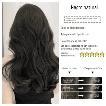 ✨ ¡50% DE DESCUENTO POR TIEMPO LIMITADO! 🌿 Tinte capilar Herbal Comb – Fácil cobertura de canas, fórmula nutritiva ✨
