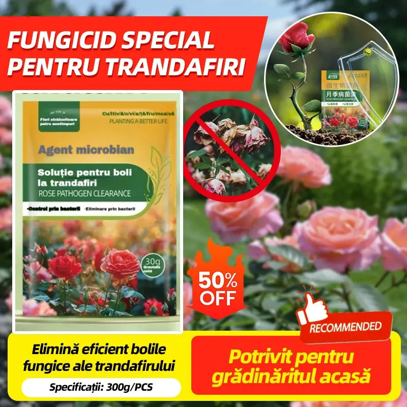 🌹🌹【10 pytlů za 480 Kč】Speciální fungicid pro růže – účinně likviduje houbové choroby růží