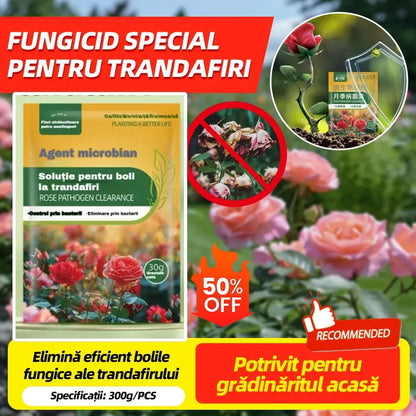 🌹🌹【10 pytlů za 480 Kč】Speciální fungicid pro růže – účinně likviduje houbové choroby růží