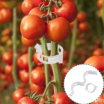【200 piezas】Clip de fijación para el crecimiento de plantas de plántula
