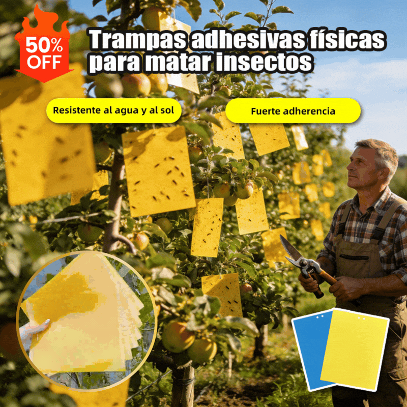 【60 piezas】Tablero adhesivo de insectos de doble cara amarillo