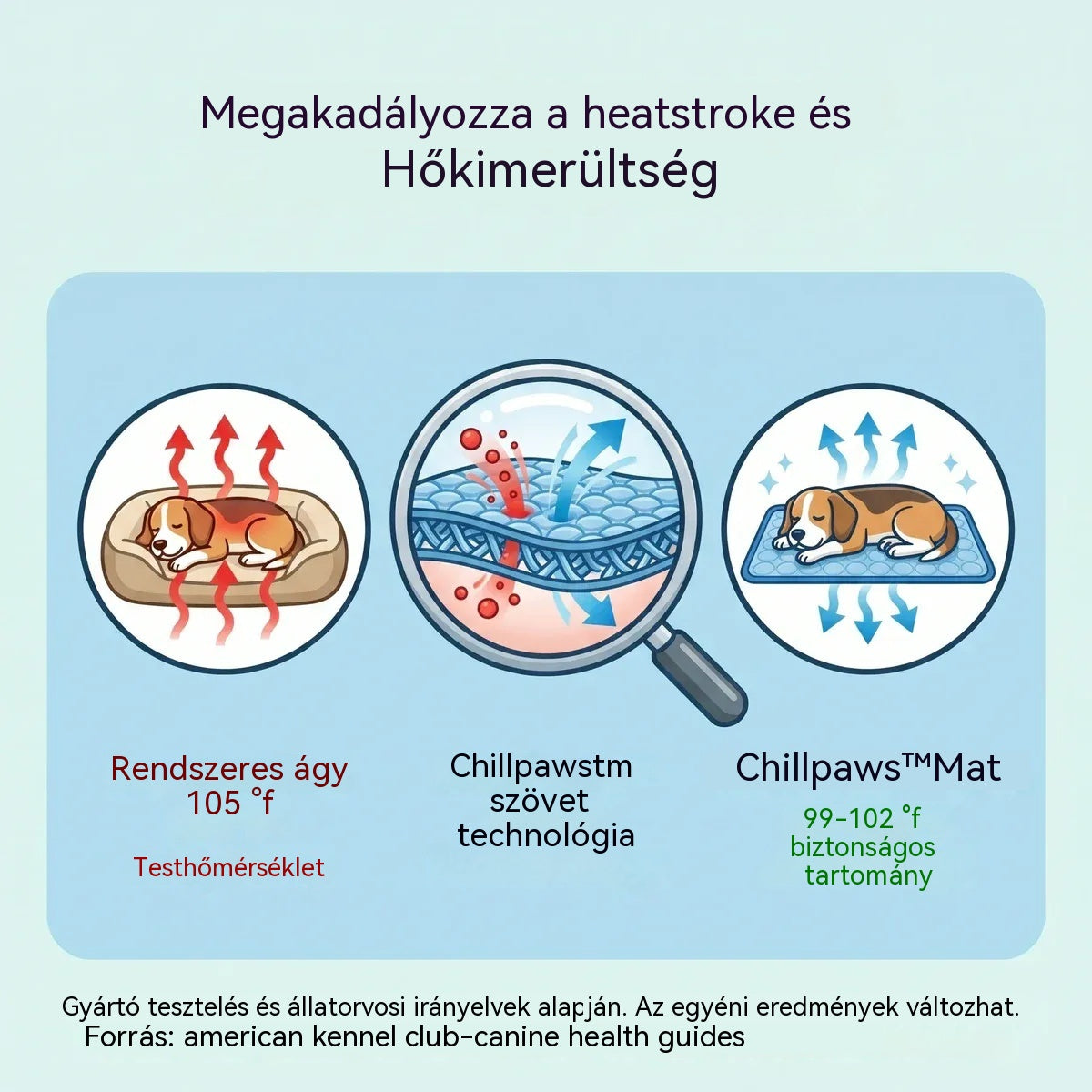 🧊⚡ Nyári akció! Hűsítő kisállatszőnyeg (vízmentes) – Légáteresztő Oxford anyagból, bármilyen fekhelyre vagy ketrecbe alkalmas.