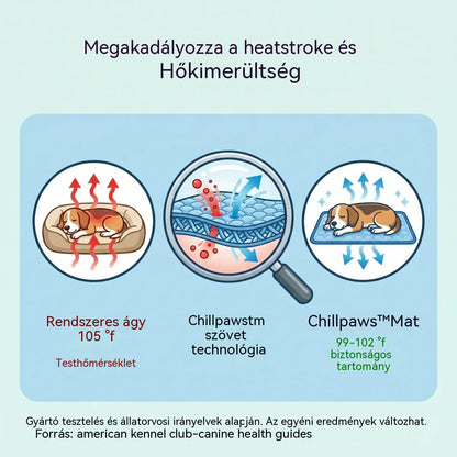 🧊⚡ Nyári akció! Hűsítő kisállatszőnyeg (vízmentes) – Légáteresztő Oxford anyagból, bármilyen fekhelyre vagy ketrecbe alkalmas.