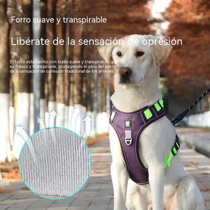 🐕🚶‍♂️ Correa ajustable | Mayor comodidad al caminar