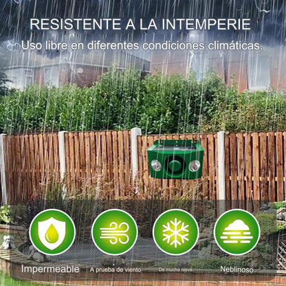 🐅Alarma solar con luz para ahuyentar animales salvajes