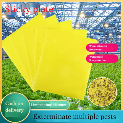 【60 piezas】Tablero adhesivo de insectos de doble cara amarillo