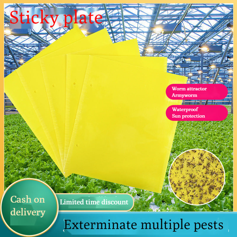 🔥✨【50% de descuento】💥【30 pcs】Tablero adhesivo de insectos de doble cara amarillo