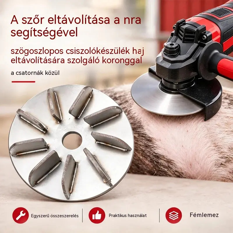 🔧🪚 Rozsdamentes acél pengetőtárcsa darálóhoz | Szőreltávolító korong sertés-, juh- és marhahús tisztításához és feldolgozásához