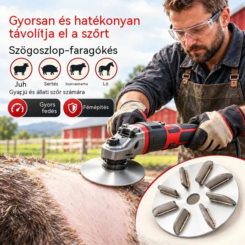 🔧🪚 Rozsdamentes acél pengetőtárcsa darálóhoz | Szőreltávolító korong sertés-, juh- és marhahús tisztításához és feldolgozásához