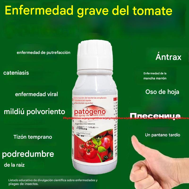 🍅🍎🍓🍓 La solución nutritiva para plantas promueve el agrandamiento de la fruta, aumenta su dulzura y aumenta el rendimiento.