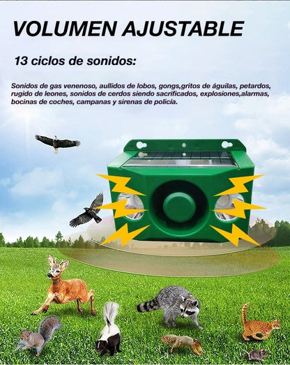 🐅Alarma solar con luz para ahuyentar animales salvajes