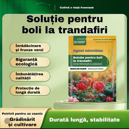 🌹🌹【10 pytlů za 480 Kč】Speciální fungicid pro růže – účinně likviduje houbové choroby růží