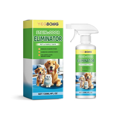 🐶🐱Quitamanchas para mascotas, gatos y perros