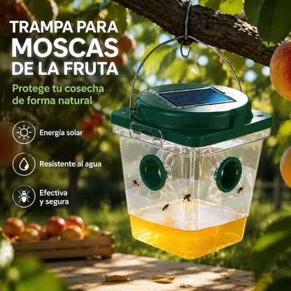 🐝☀️ Trampa solar para avispas para la terraza y el jardín  - eficaz, recargable y resistente a la intemperie - sin productos químicos, hasta 500 m² - ¡ahorra ahora!