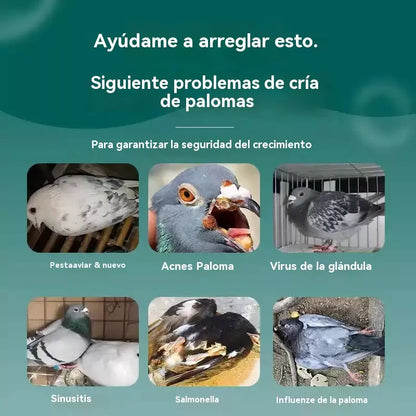 50%OFF🔥🕊️🕊️100 comprimidos, medicamento especial para palomas mensajeras, tratamiento 6 en 1 para palomas: ¡curación rápida, resultados significativos!