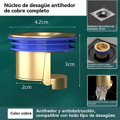 🔥 Desagüe universal de latón para suelo con núcleo desodorizante antiolor 🚿✨
