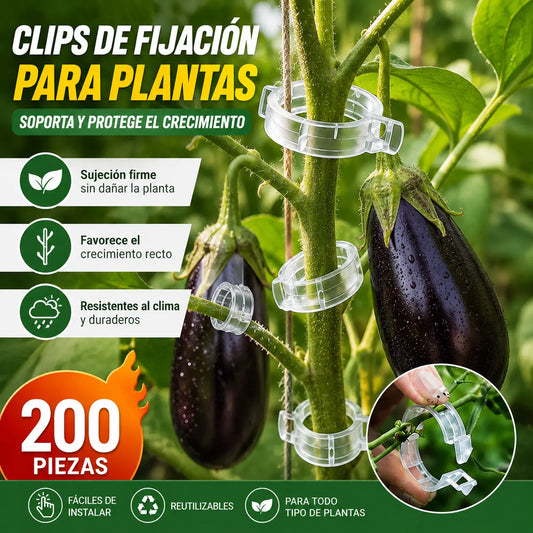 Clip de fijación para el crecimiento de plantas de plántula