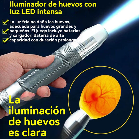 🥚🥚Lámpara LED de luz fría para ovoscopia en incubadoras