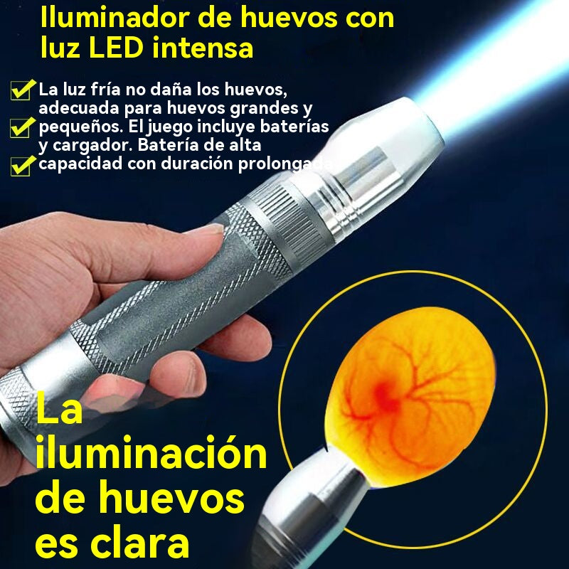 🥚🥚Lámpara LED de luz fría para ovoscopia en incubadoras