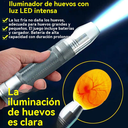 🥚🥚Lámpara LED de luz fría para ovoscopia en incubadoras