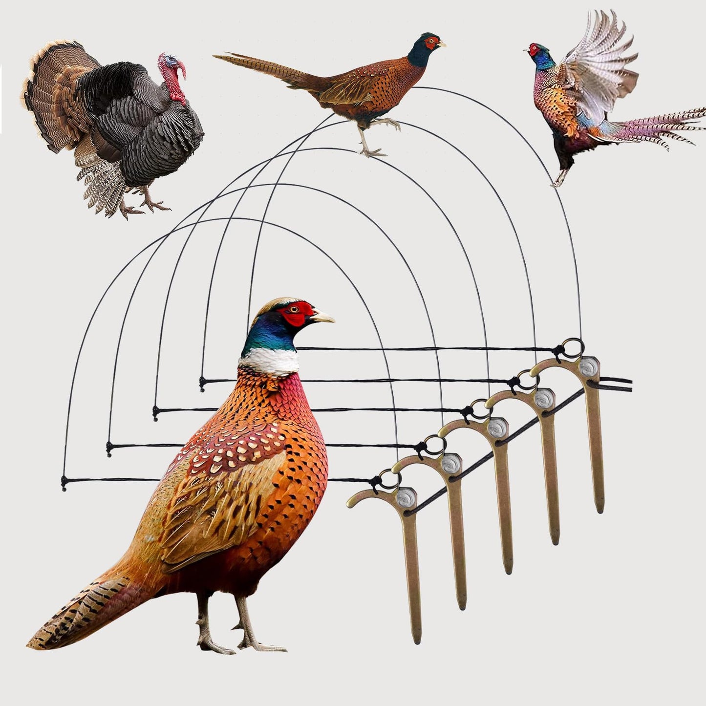🦆🐓【Compra 5 y obten 5 gratis】Trampa para pájaros de tamaño mediano, adecuada para pollos, faisanes, ánades reales, perdices y patos.