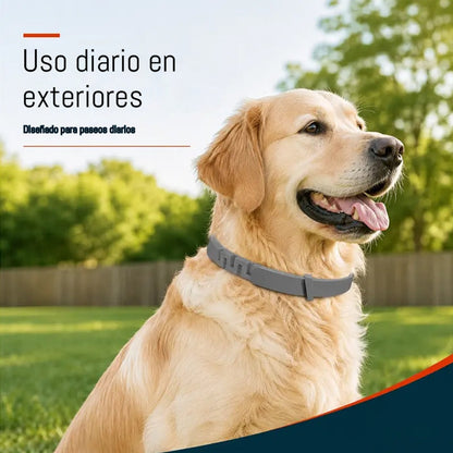 🔥【Compre 1 y obtenga 1 gratis】🐶🐱Collares preventivos contra pulgas y piojos para gatos y perros！