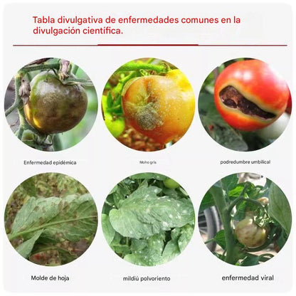 🍅🍎🍓🍓 La solución nutritiva para plantas promueve el agrandamiento de la fruta, aumenta su dulzura y aumenta el rendimiento.