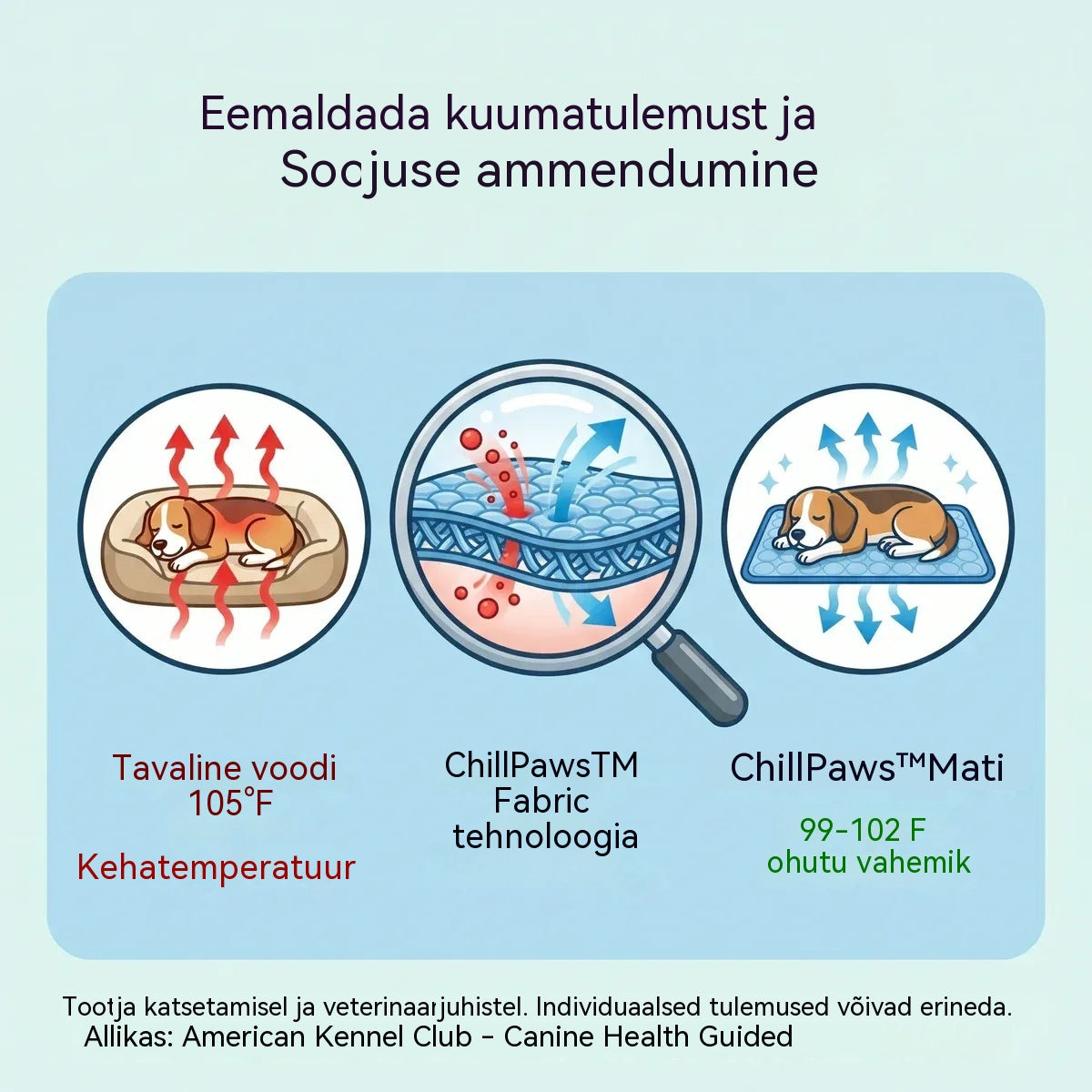 🧊⚡ Suvine allahindlus! Jahutav lemmikloomamatt (veevaba) – hingav Oxford-kangas, sobib igasse voodisse või puuri.