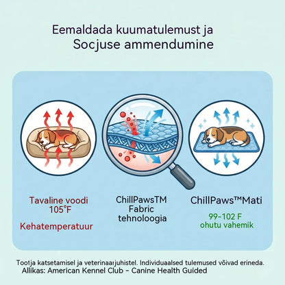 🧊⚡ Suvine allahindlus! Jahutav lemmikloomamatt (veevaba) – hingav Oxford-kangas, sobib igasse voodisse või puuri.