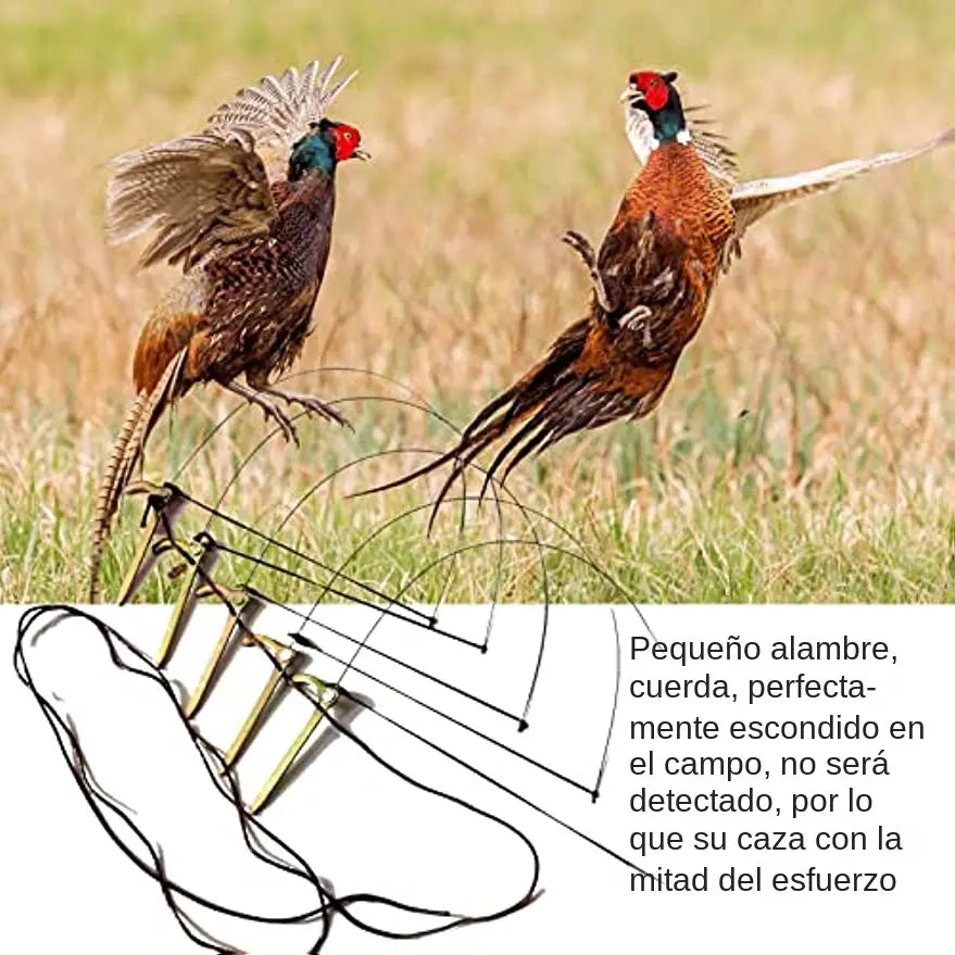 🔥【Compra 5 y llévate 5 gratis】🐦10 Jaulas para pájaros | Diseño mediano, aptas para pollos, patos y otras aves de corral