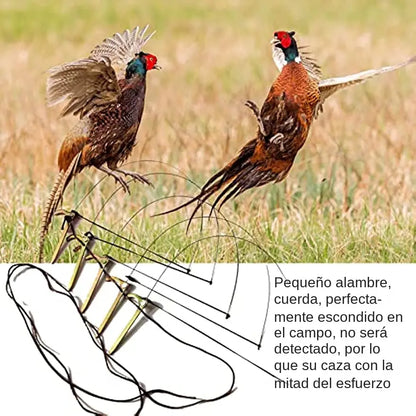 🔥【Compra 5 y llévate 5 gratis】🐦10 Jaulas para pájaros | Diseño mediano, aptas para pollos, patos y otras aves de corral