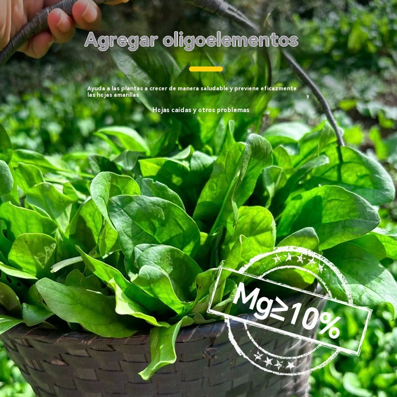 🌿8 bolsas por 27€🌿Fertilizante foliar hidrosoluble con clorofila para flores, frutales y hortalizas. Favorece el crecimiento radicular y de las plántulas, y aumenta la producción. Fertilizante agrícola hidrosoluble.