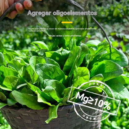 🌿8 bolsas por 27€🌿Fertilizante foliar hidrosoluble con clorofila para flores, frutales y hortalizas. Favorece el crecimiento radicular y de las plántulas, y aumenta la producción. Fertilizante agrícola hidrosoluble.