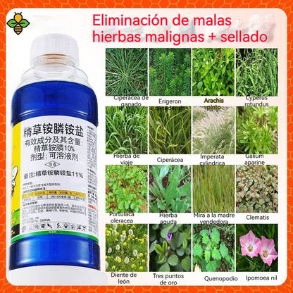 👍【Compre 1 y obtenga 1 gratis】🔥🌱Herbicidas de acción rápida para huertos, jardines y surcos de campos.