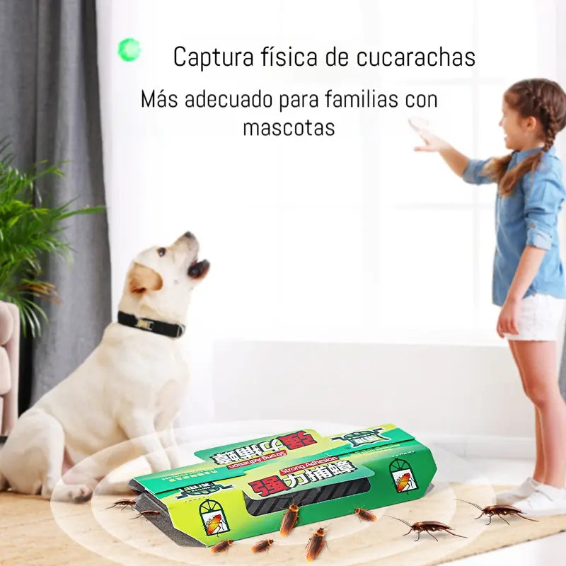 ✅【10 comprimidos/caja】Solo 25 euros🟢Trampa para cucarachas con pegamento fuerte！