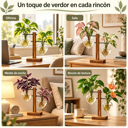 🌿🏡 Mini Jarrón de Cristal con Soporte de Madera | Florero Transparente para Plantas Hidropónicas, Flores y Decoración del Hogar