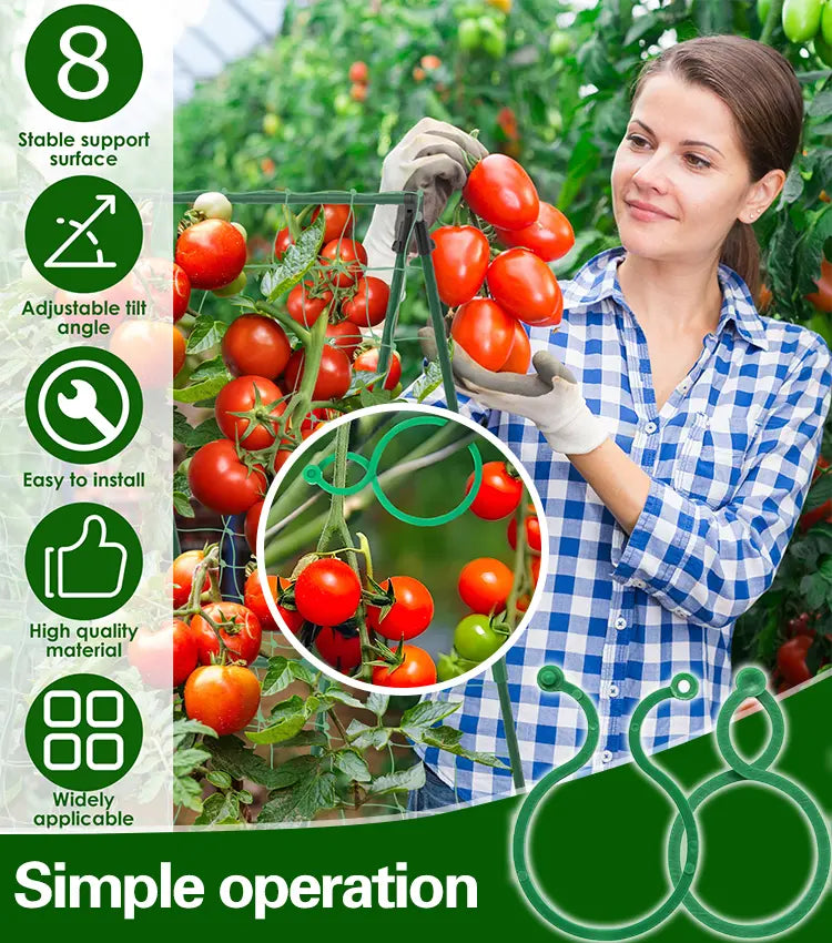 🍇【500 kusů】🌱Pevné svorky s přezkou ve tvaru 8, vhodné pro popínavé rostliny, zahrady/zeleninové sady/sady, úvazy pro vinnou révu