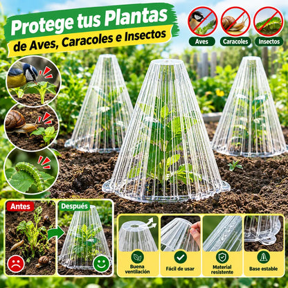 【20 piezas 】Plántulas de melón, plántulas de hortalizas, cubiertas vegetales: conservación térmica, protección contra aves, insectos
