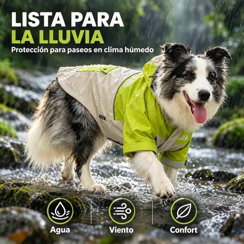 🐶🌧️ Chubasquero para Perros con Capucha | Chaqueta Impermeable y Cortavientos para Perros Grandes en Otoño e Invierno