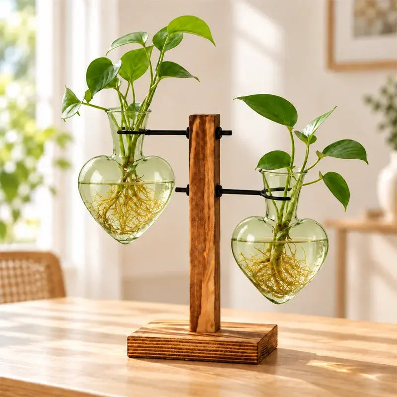 🌿🏡 Mini Jarrón de Cristal con Soporte de Madera | Florero Transparente para Plantas Hidropónicas, Flores y Decoración del Hogar