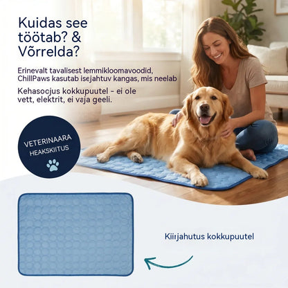 🧊⚡ Suvine allahindlus! Jahutav lemmikloomamatt (veevaba) – hingav Oxford-kangas, sobib igasse voodisse või puuri.