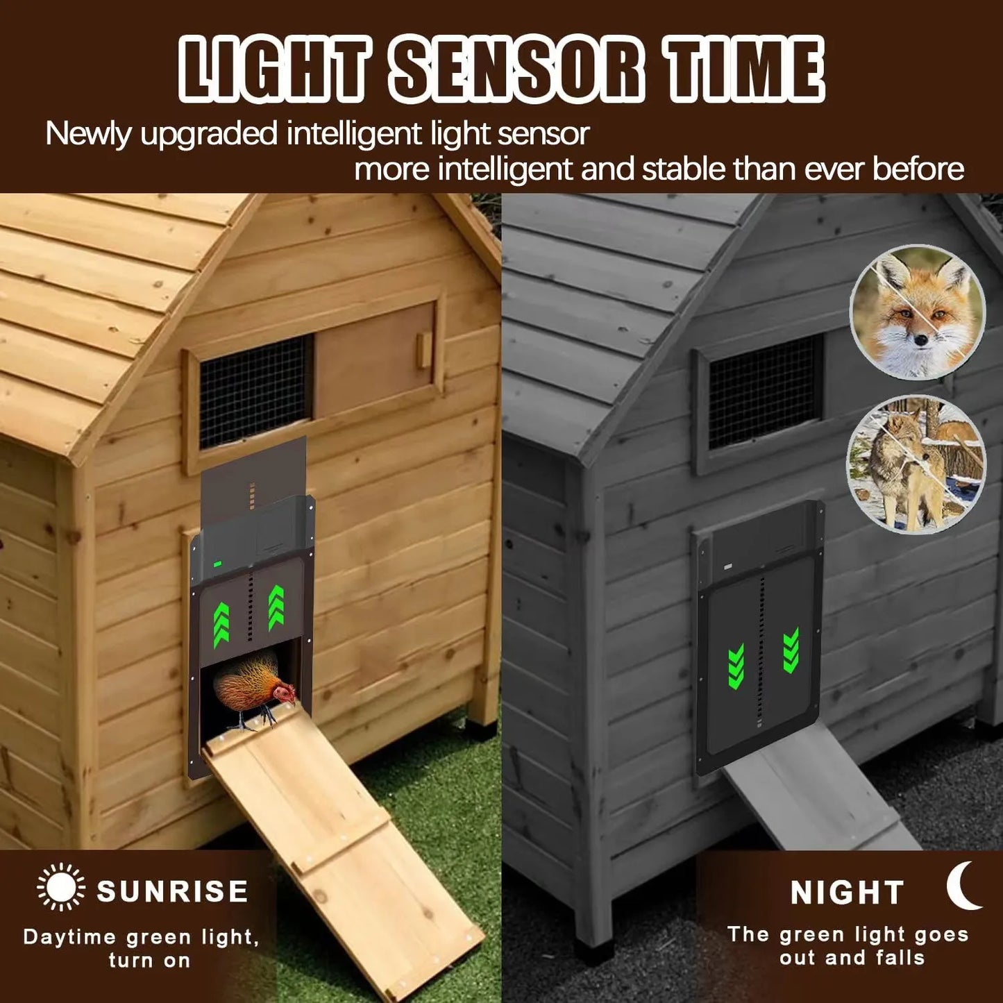 🚪 Puerta automática para gallinero con sensor de luz – impermeable, segura y fácil de instalar 🐔✨