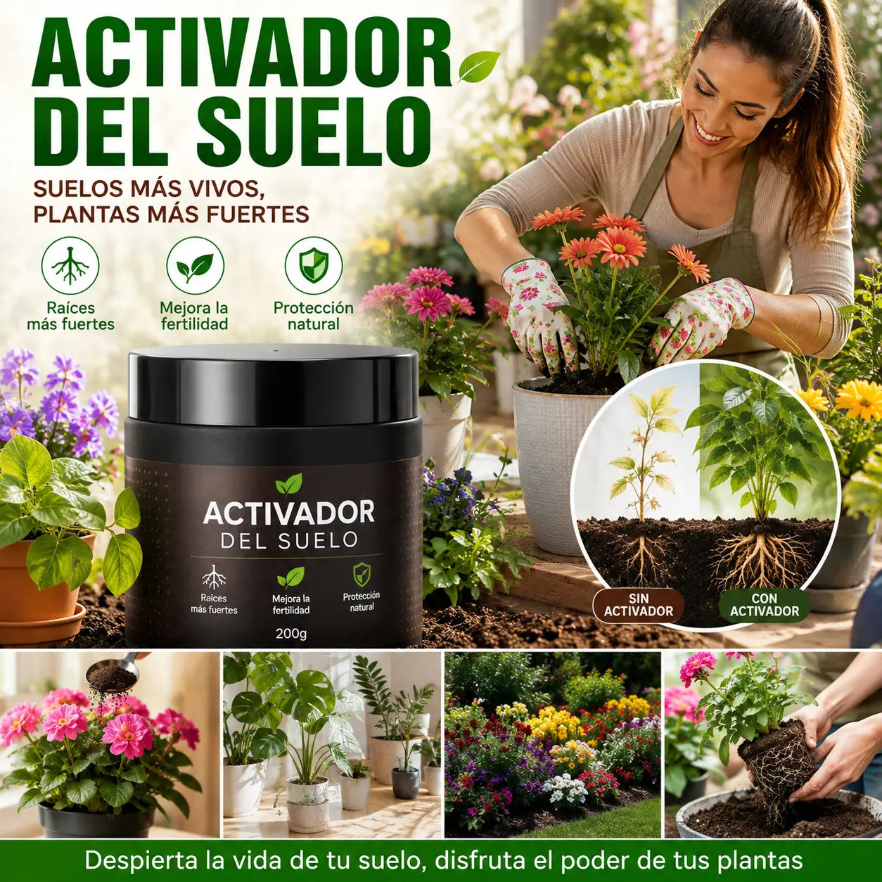 🌱【Compra uno y llévate otro gratis, paquete de 2】Activador orgánico para el hogar y la jardinería🌱