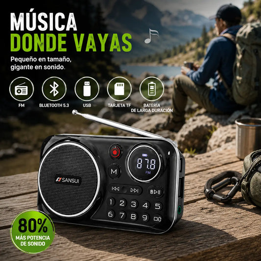 🎁【Oferta por tiempo limitado】Reproductor de música con radio Bluetooth portátil, puede insertar tarjetas y unidades flash USB