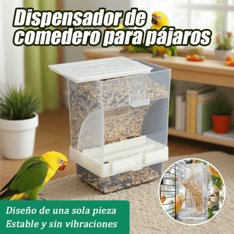 Comedero automático para pájaros sin derrames