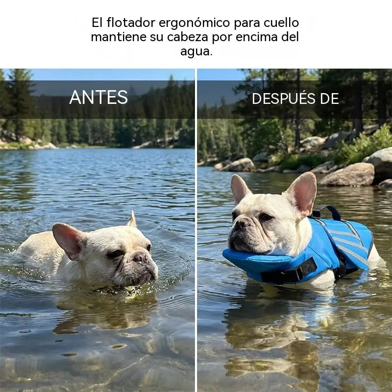 🥳¡OFERTA ESPECIAL 2026!🥳💞¡Más de 50.000 unidades vendidas!🐕👼Chaleco salvavidas reflectante para perros con alas de ángel: alta flotabilidad, asa de rescate rápido y malla transpirable. Tiras reflectantes para nadar por la noche. ¡Seguro y adorable! 🌊✨