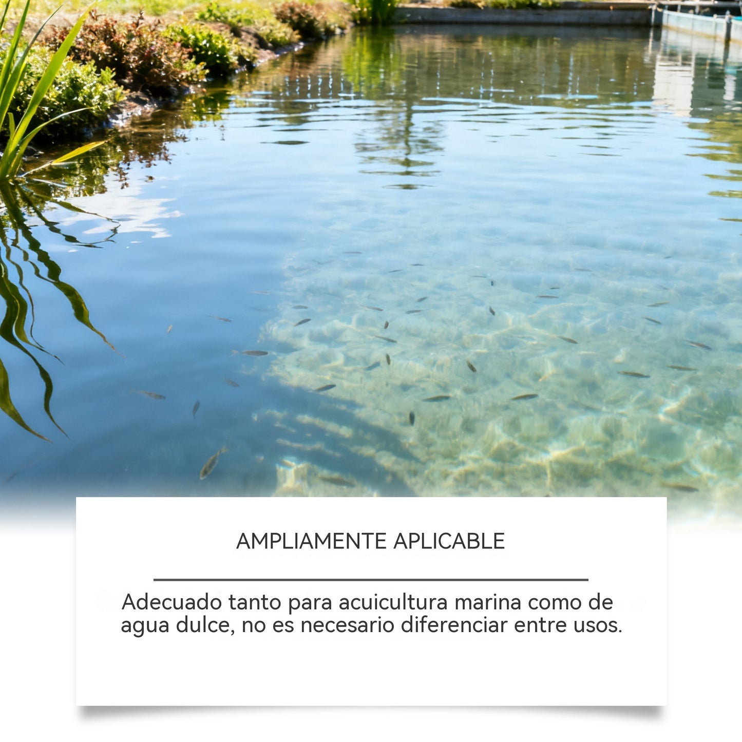 [2 piezas 26 euros]🌿 Claridad cristalina sin químicos agresivos. Seguro para peces, camarones, cangrejos y mariscos. ¡Oferta limitada!