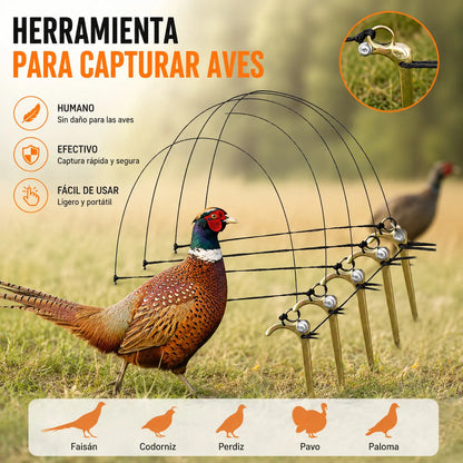 🔥【Compra 5 y llévate 5 gratis】🐦10 Jaulas para pájaros | Diseño mediano, aptas para pollos, patos y otras aves de corral